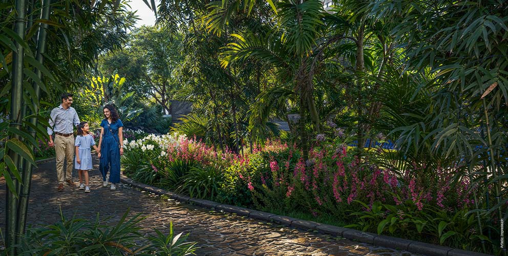 Miyawaki Forest Trail with native tree plantation